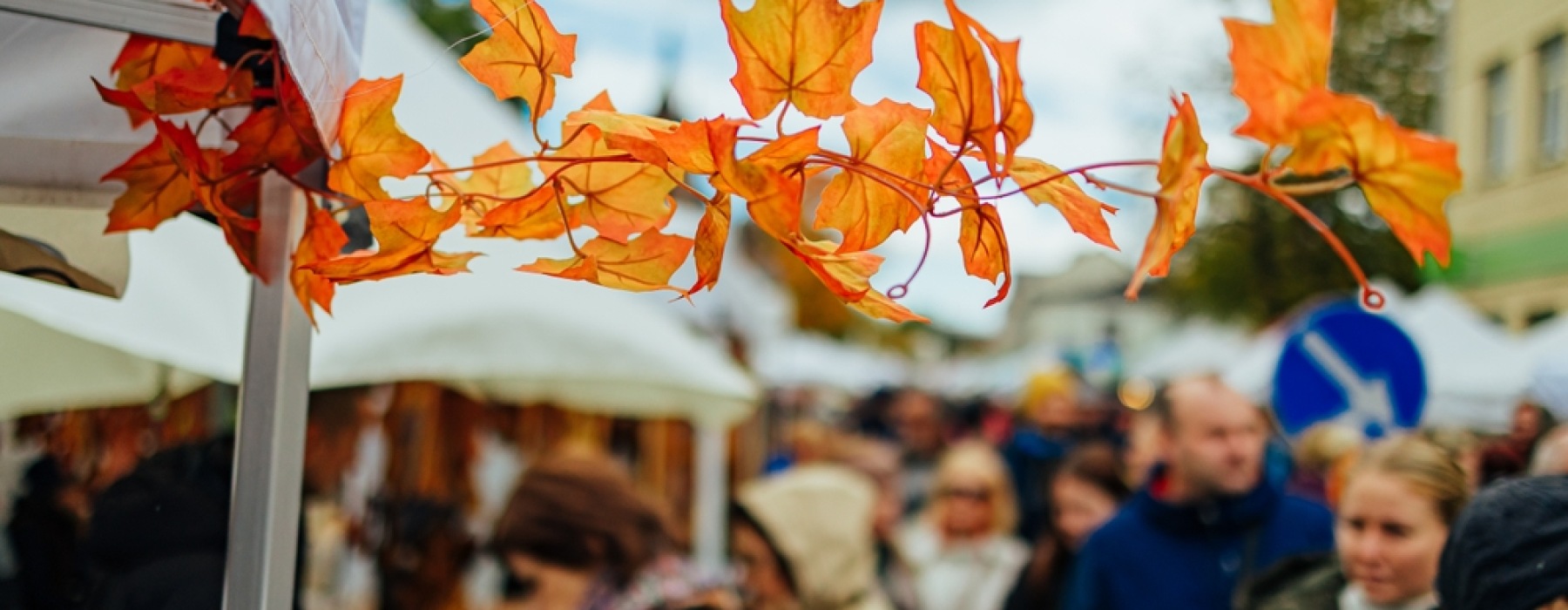 Fall Events and Things to Do in Leander, TX